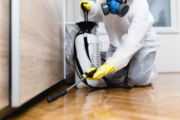 Best Pest Prevention Services  in Bayonet Point, FL