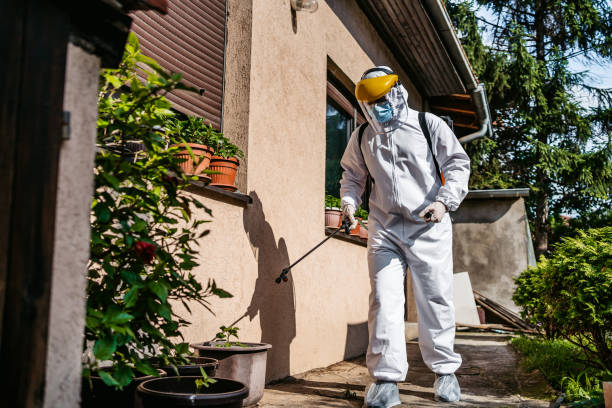 Best Pest Control for Restaurants  in Bayonet Point, FL