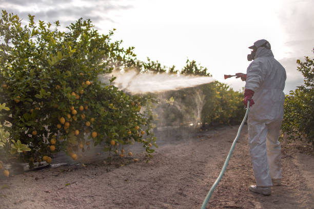Pest Control for Restaurants in Bayonet Point, FL