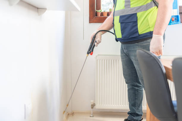 Best Emergency Pest Control  in Bayonet Point, FL