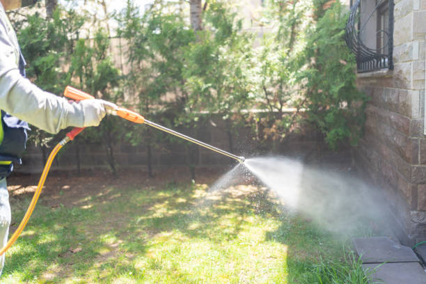 Best Residential Pest Control  in Bayonet Point, FL
